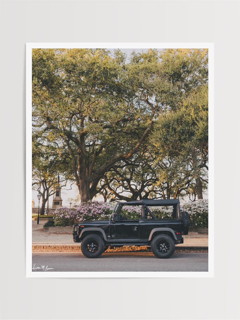 "Battery Defender" Art Print