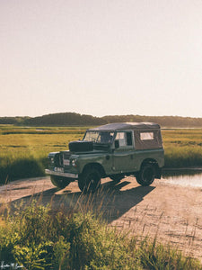 "Wellfleet Rover" Art Print