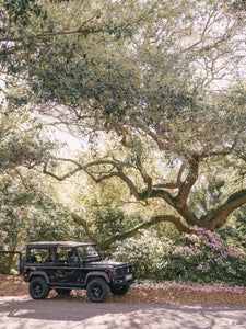"Old Town Defender" Art Print