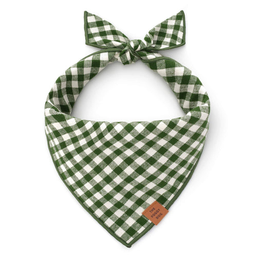 Mini Gingham Hunter Green Dog Bandana: Large