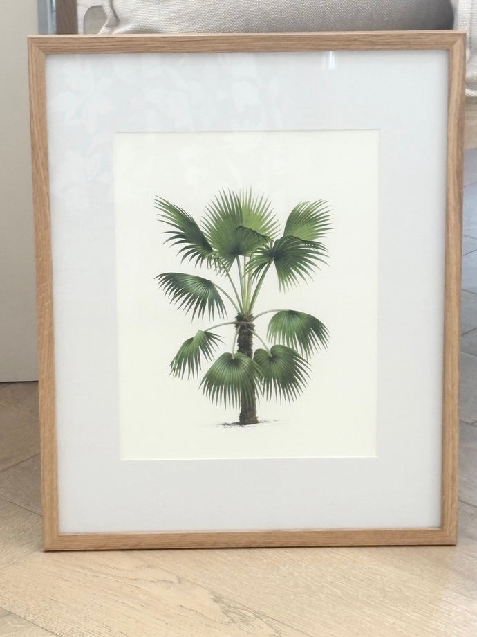 Vintage Palm Tree Illustration Print, Design 1
