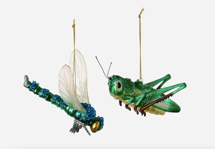 Dragonfly and Grasshopper