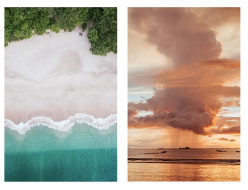 Samba to the Sea print ornaments