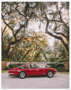 "Lowcountry Ferrari" Art Print