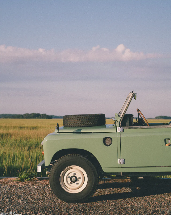 "Marsh Rover" 8"x10" Art Print