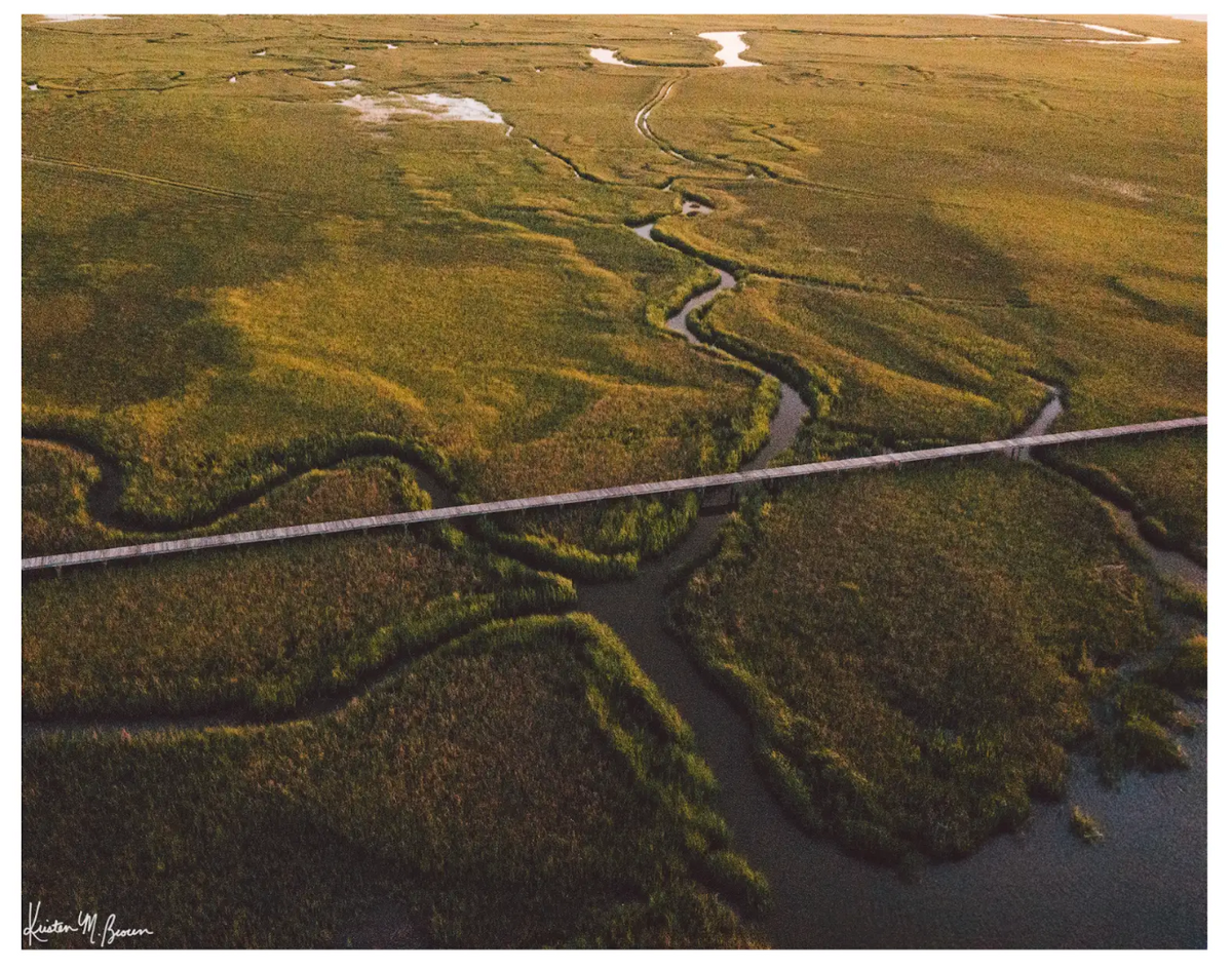 "Marsh Walk" Postcards
