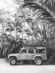 "Tropical Sleigh" Art Print (2 Sizes Available)
