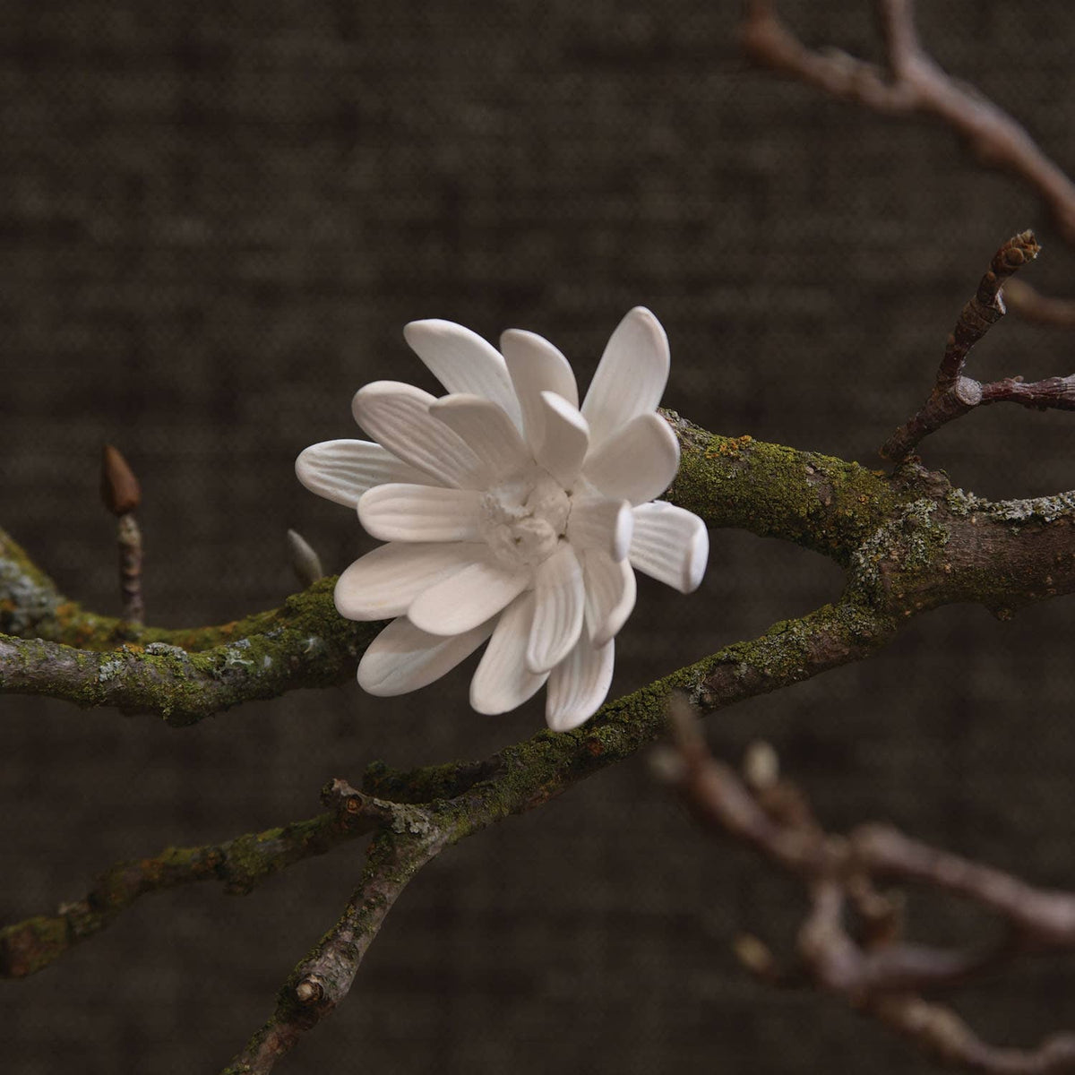 Mini Bone China Curled Magnolia Flower - White