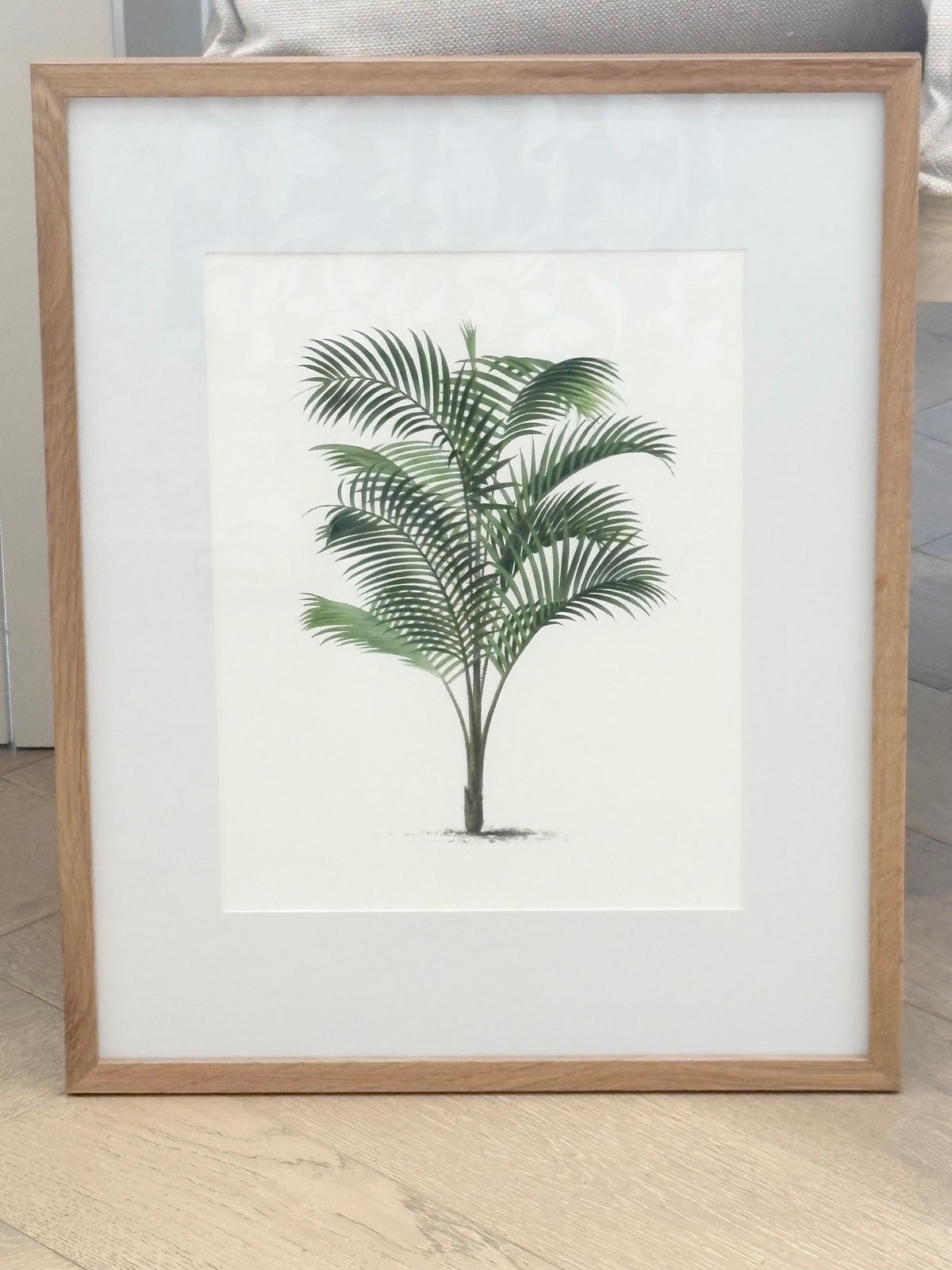 Vintage Palm Tree Illustration Print, Design 2