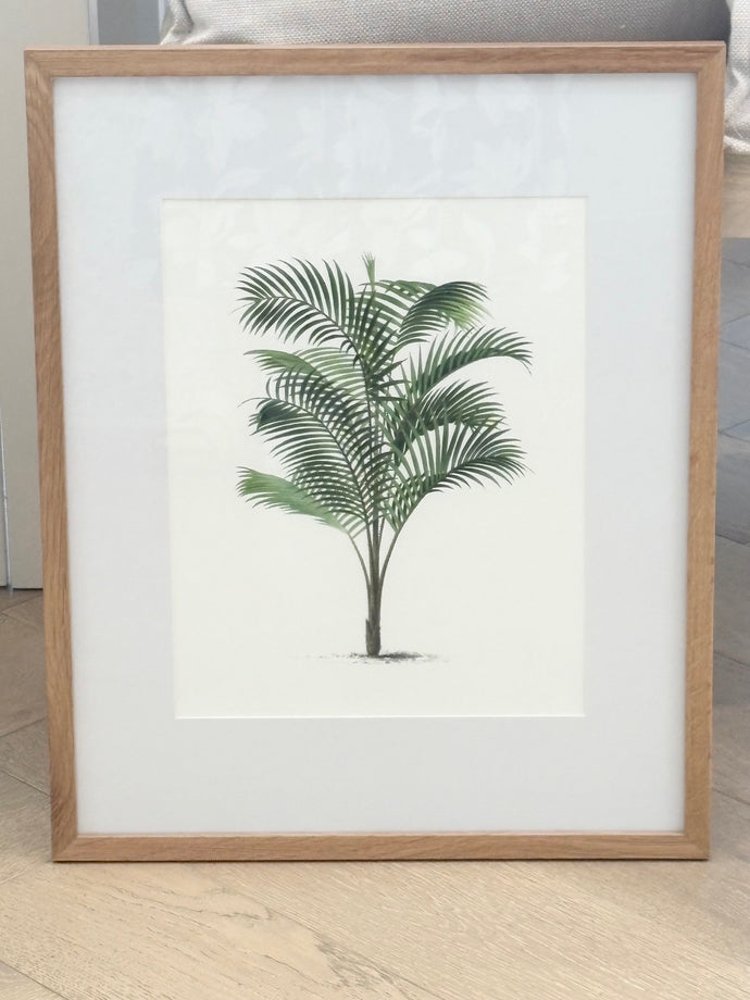 Vintage Palm Tree Illustration Print, Design 2