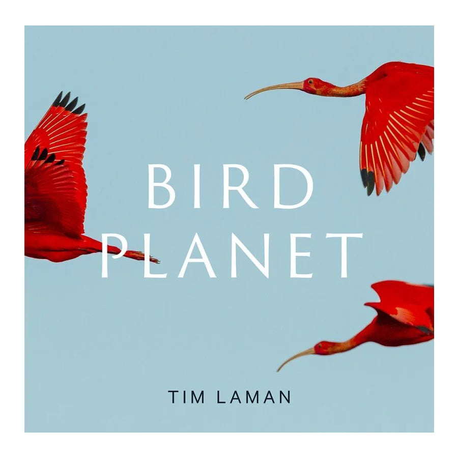 Bird Planet: A Photographic Journey